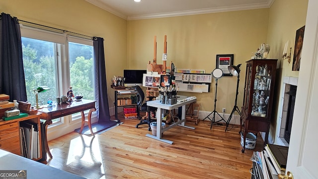 office area with crown molding and light hardwood / wood-style floors