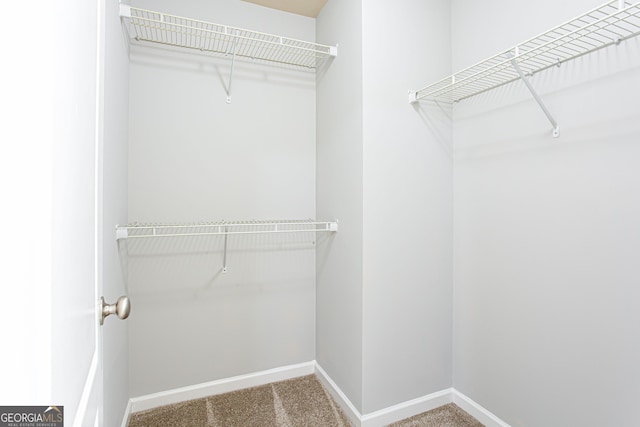 spacious closet with carpet flooring