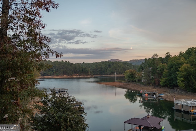 property view of water with a boat dock