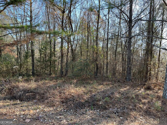 Listing photo 3 for 0 Ridge Rd, Cave Spring GA 30124