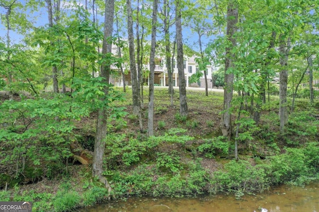 view of landscape featuring a water view