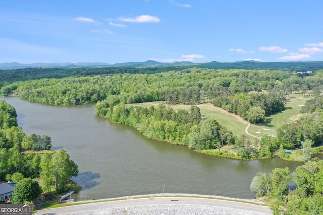 drone / aerial view featuring a water and mountain view