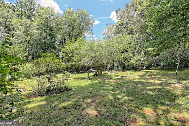 208 Colony Rd, Dillard, GA 30537 - view of grassy yard