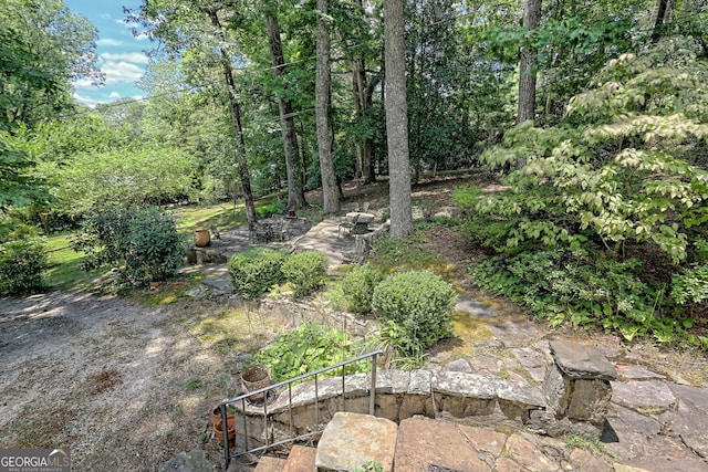 208 Colony Rd, Dillard, GA 30537 - view of yard