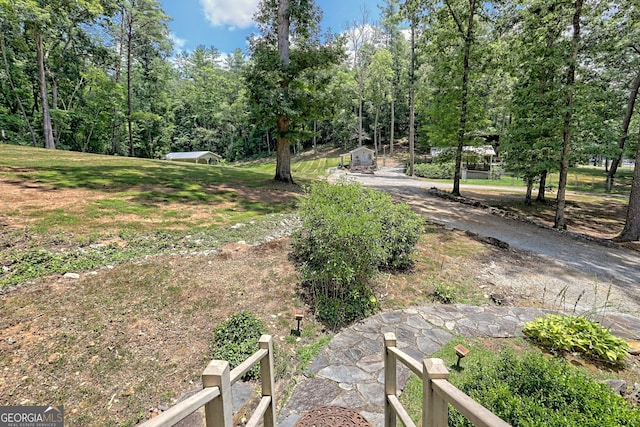 208 Colony Rd, Dillard, GA 30537 - view of yard