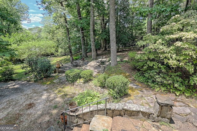 208 Colony Rd, Dillard, GA 30537 - view of yard