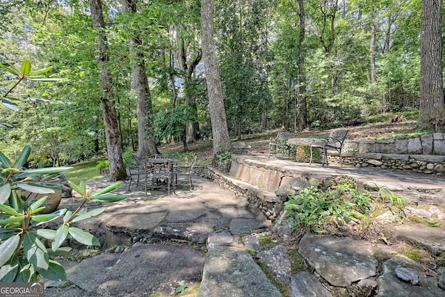 view of yard with a patio area