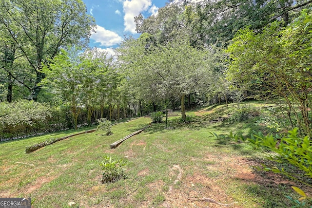 208 Colony Rd, Dillard, GA 30537 - view of grassy yard