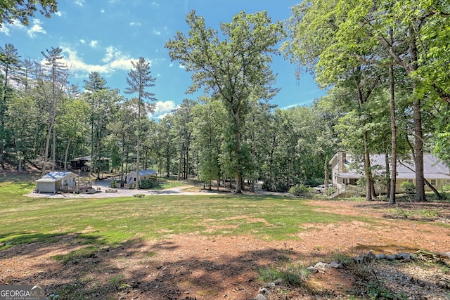 208 Colony Rd, Dillard, GA 30537 - view of grassy yard