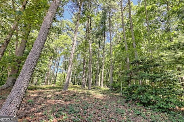 208 Colony Rd, Dillard, GA 30537 - view of tree filled area
