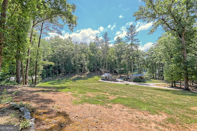 208 Colony Rd, Dillard, GA 30537 - view of green lawn