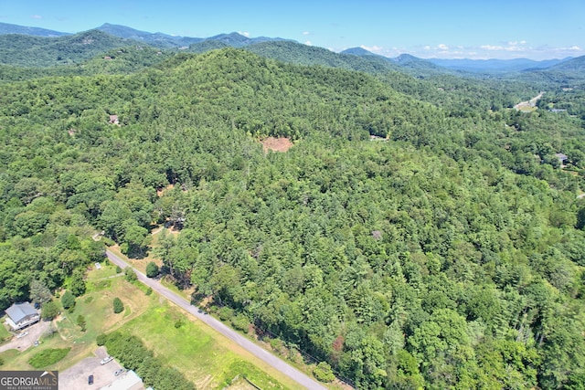 birds eye view of property featuring a mountain view