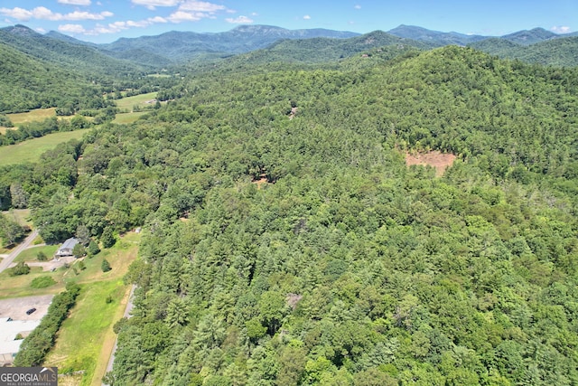 bird's eye view featuring a mountain view