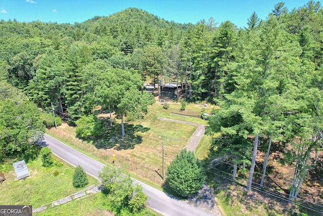 208 Colony Rd, Dillard, GA 30537 - bird's eye view of a heavily wooded area