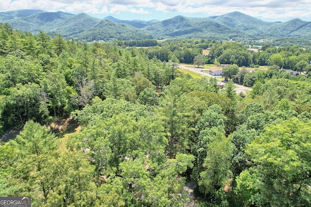 208 Colony Rd, Dillard, GA 30537 - aerial view of a heavily wooded area and a mountain backdrop