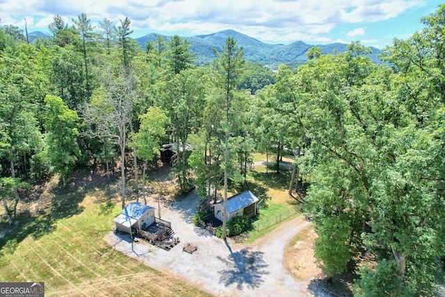 birds eye view of property featuring a mountain view