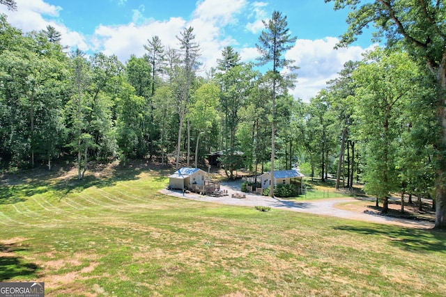208 Colony Rd, Dillard, GA 30537 - view of grassy yard