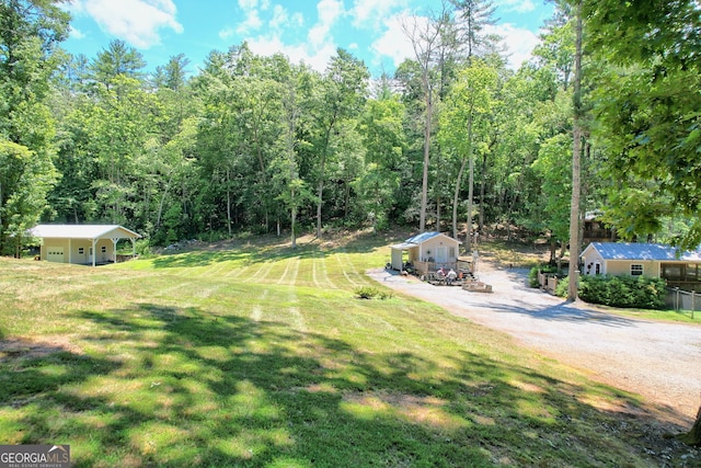 208 Colony Rd, Dillard, GA 30537 - view of grassy yard featuring an outdoor structure, a carport, and driveway