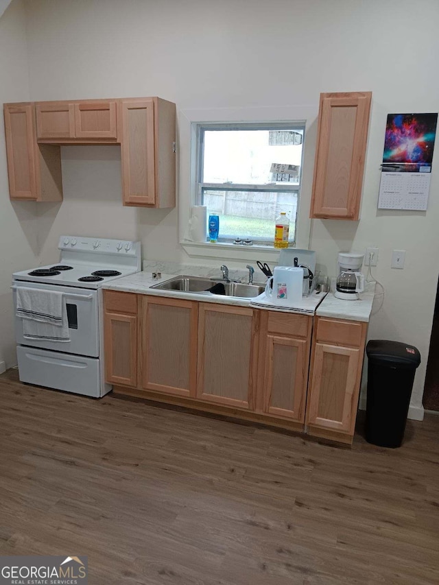 kitchen with hardwood / wood-style flooring, white electric stove, and sink