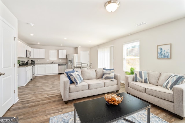 living room featuring sink and wood-type flooring