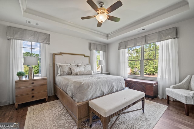 bedroom featuring ceiling fan, a raised ceiling, and multiple windows