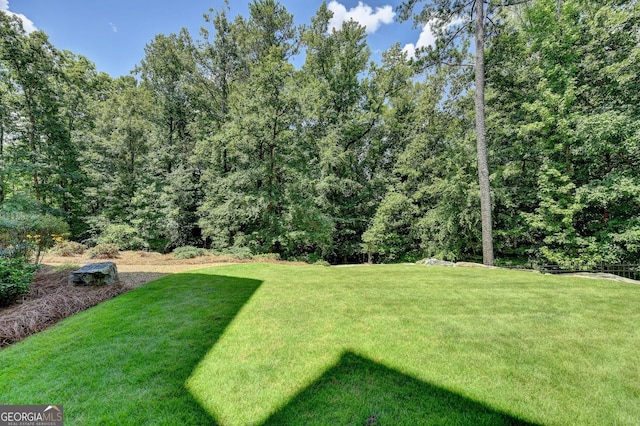 962 Chattooga Trce, Suwanee, GA 30024 - view of green lawn