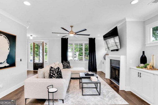 living room featuring dark hardwood / wood-style floors, ornamental molding, and ceiling fan