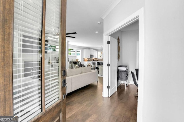 corridor with dark hardwood / wood-style floors