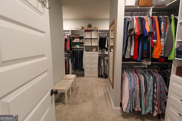 walk in closet featuring carpet flooring