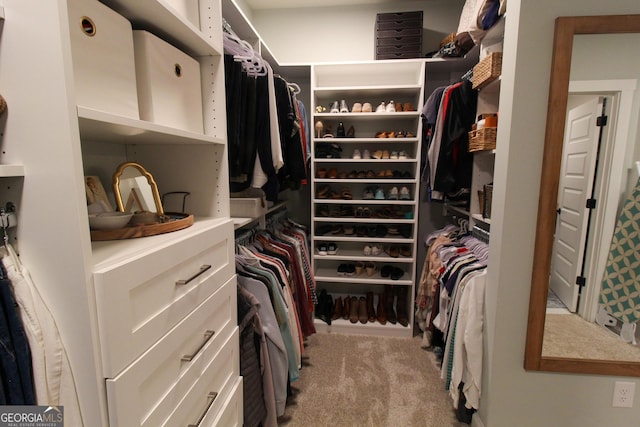 walk in closet with light carpet