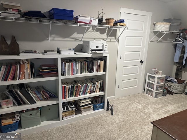 spacious closet featuring carpet