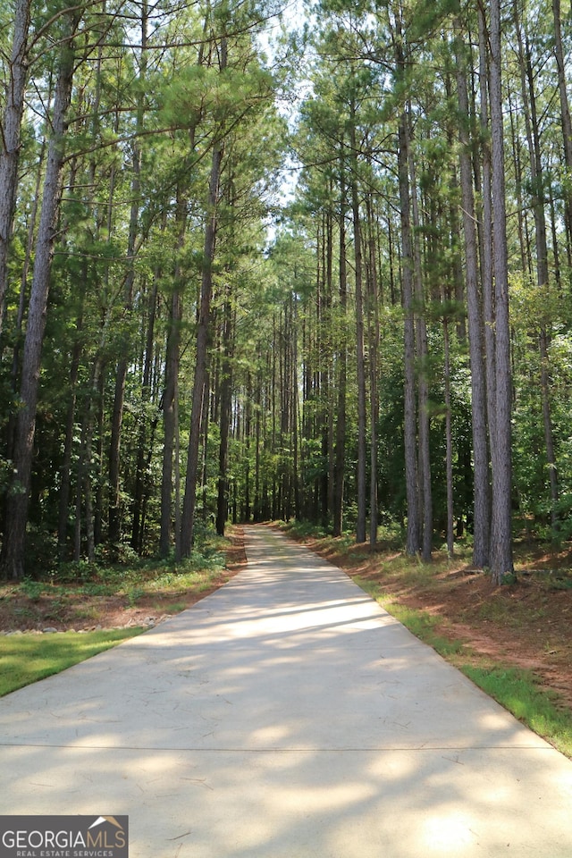 view of road with a wooded view