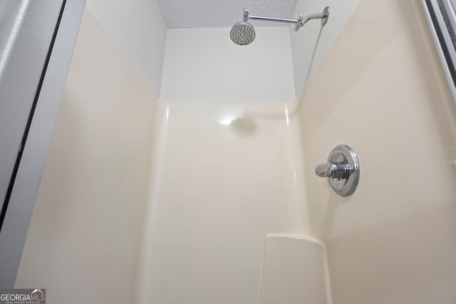 room details with walk in shower