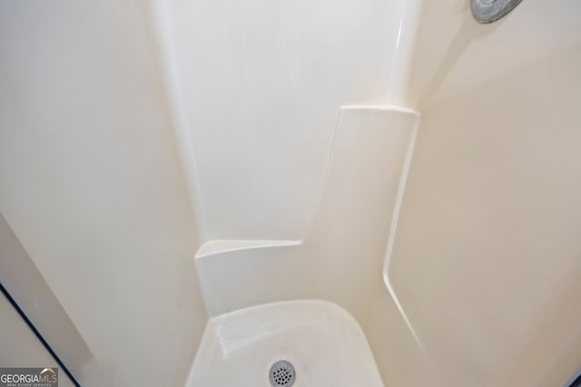 interior details featuring a sink and walk in shower