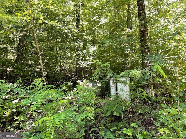 Listing photo 3 for LOT11 Fodder Creek Mill Dr, Hiawassee GA 30546