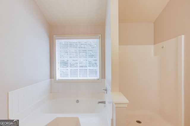 bathroom featuring separate shower and tub