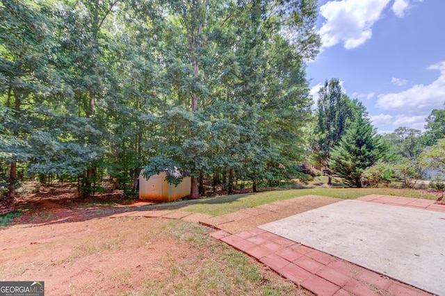 view of yard with a shed and a patio area