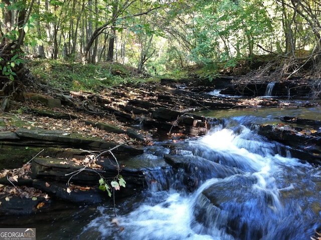 view of nature featuring a water view