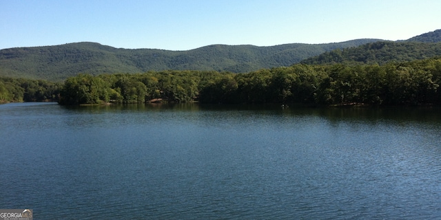 property view of water with a mountain view