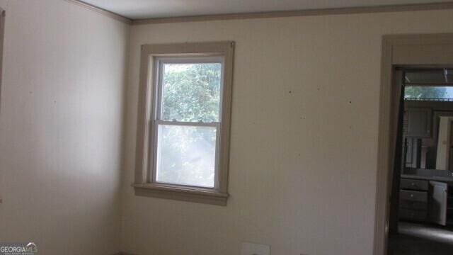 spare room featuring crown molding