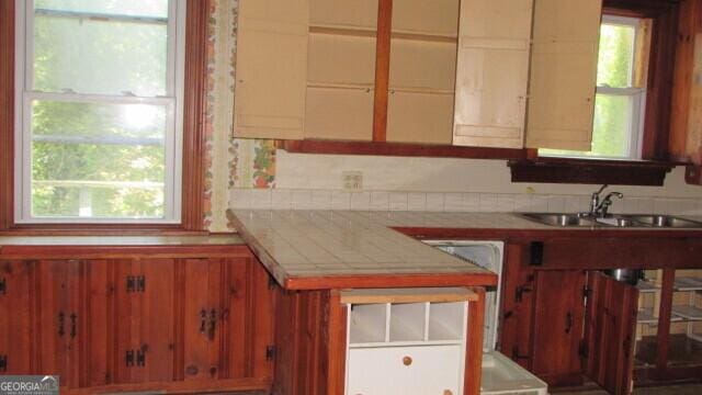 kitchen featuring tile counters, dishwasher, and sink