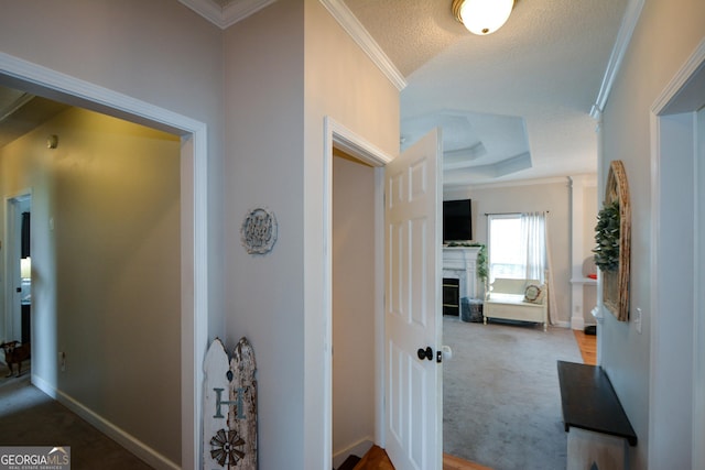 hall with crown molding, baseboards, carpet, and a textured ceiling