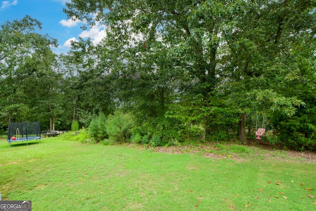 view of yard with a trampoline