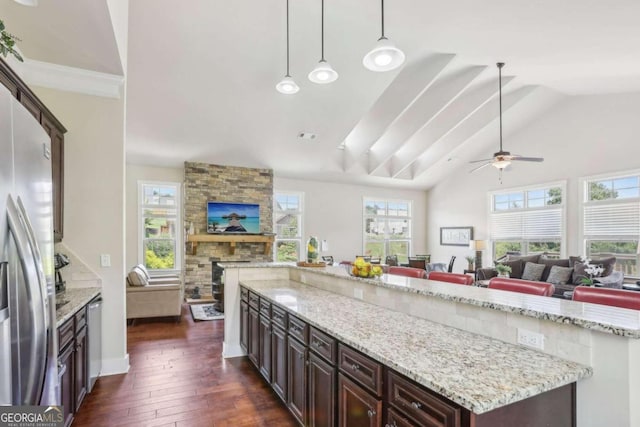 kitchen featuring appliances with stainless steel finishes, dark brown cabinetry, dark wood-type flooring, a fireplace, and hanging light fixtures