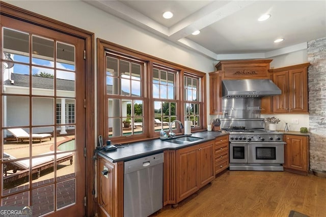 kitchen featuring wood-type flooring, stainless steel appliances, plenty of natural light, sink, and range hood