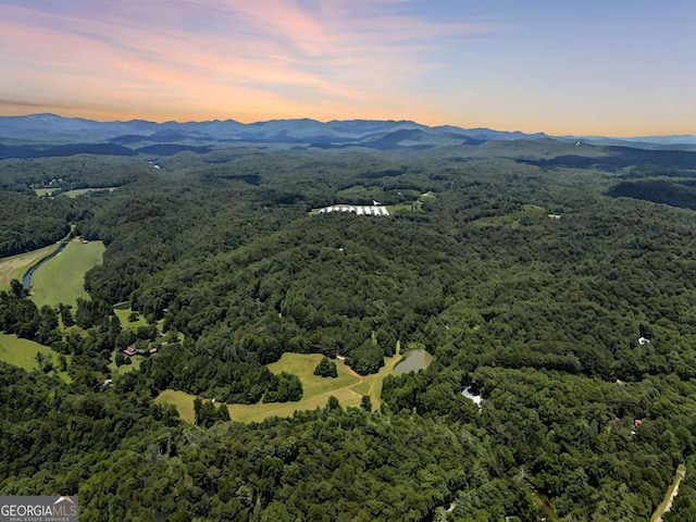 2044 Stillwell Rd, Ellijay GA, 30540 land for sale