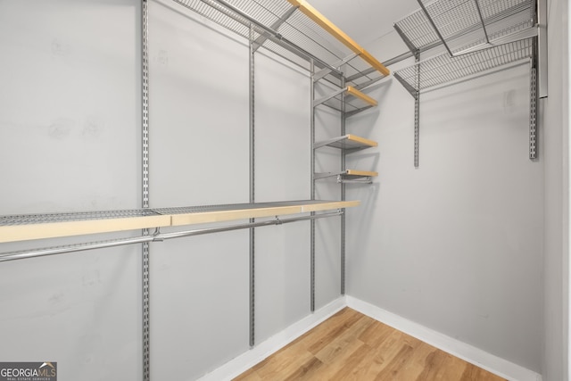 walk in closet with light hardwood / wood-style flooring