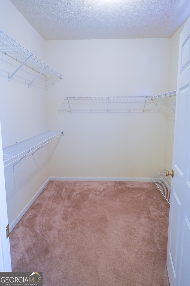 walk in closet with carpet floors