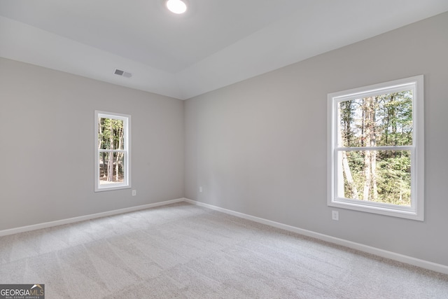 empty room featuring a wealth of natural light and light colored carpet