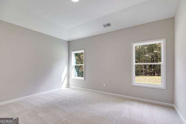 spare room featuring light colored carpet